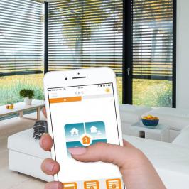 With motor / controlled by smartphone